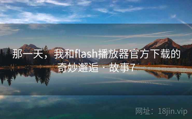 那一天，我和flash播放器官方下载的奇妙邂逅 · 故事7