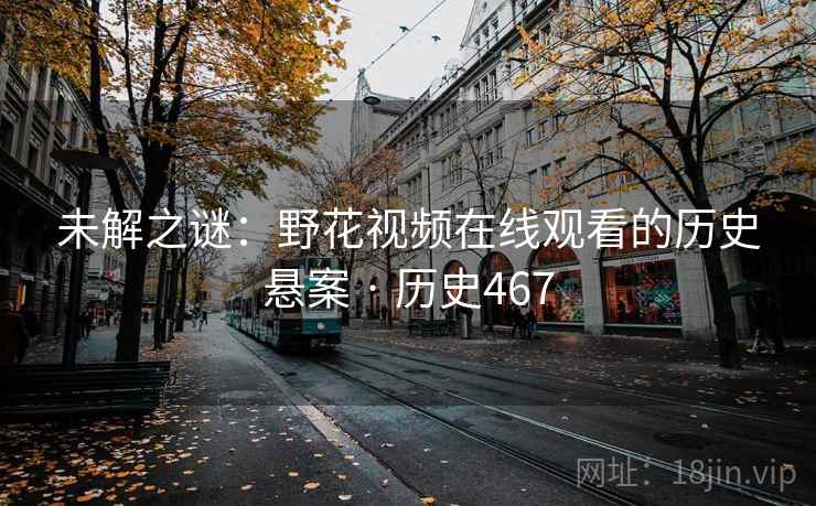 未解之谜:野花视频在线观看的历史悬案 · 历史467 第2张 未解之谜:野花视频在线观看的历史悬案 · 历史467 第2张