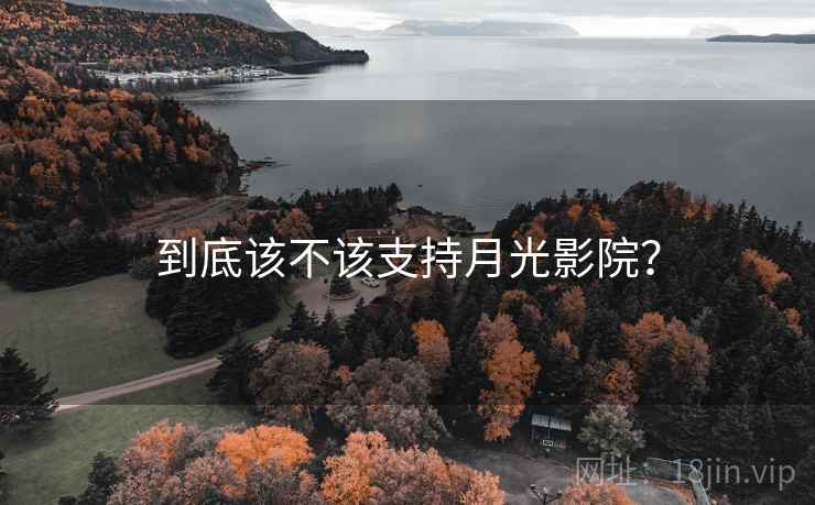 到底该不该支持月光影院? 第2张 到底该不该支持月光影院? 第2张