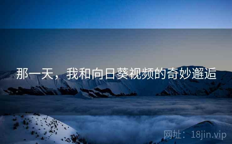 那一天,我和向日葵视频的奇妙邂逅 第2张 那一天,我和向日葵视频的奇妙邂逅 第2张