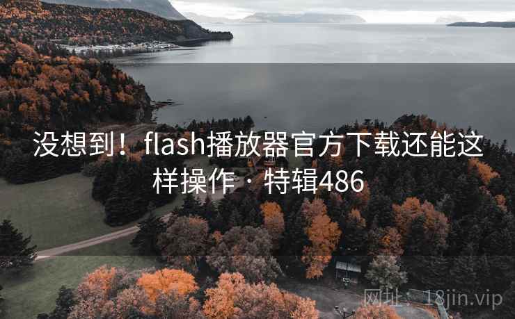 没想到！flash播放器官方下载还能这样操作 · 特辑486