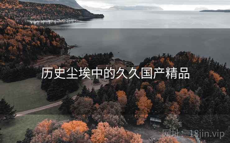 历史尘埃中的久久国产精品 第2张 历史尘埃中的久久国产精品 第2张